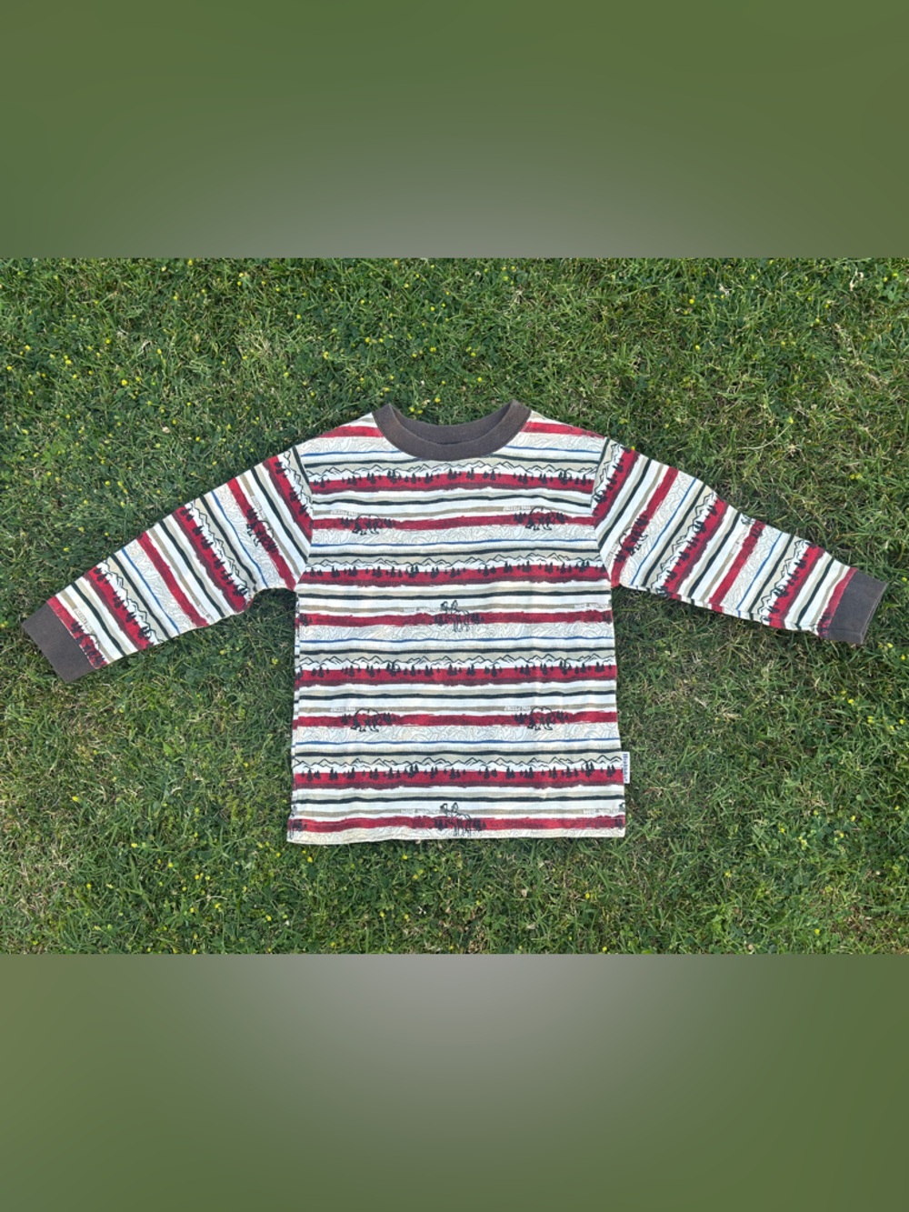 90’s Kids Healthtex Longs sleeve